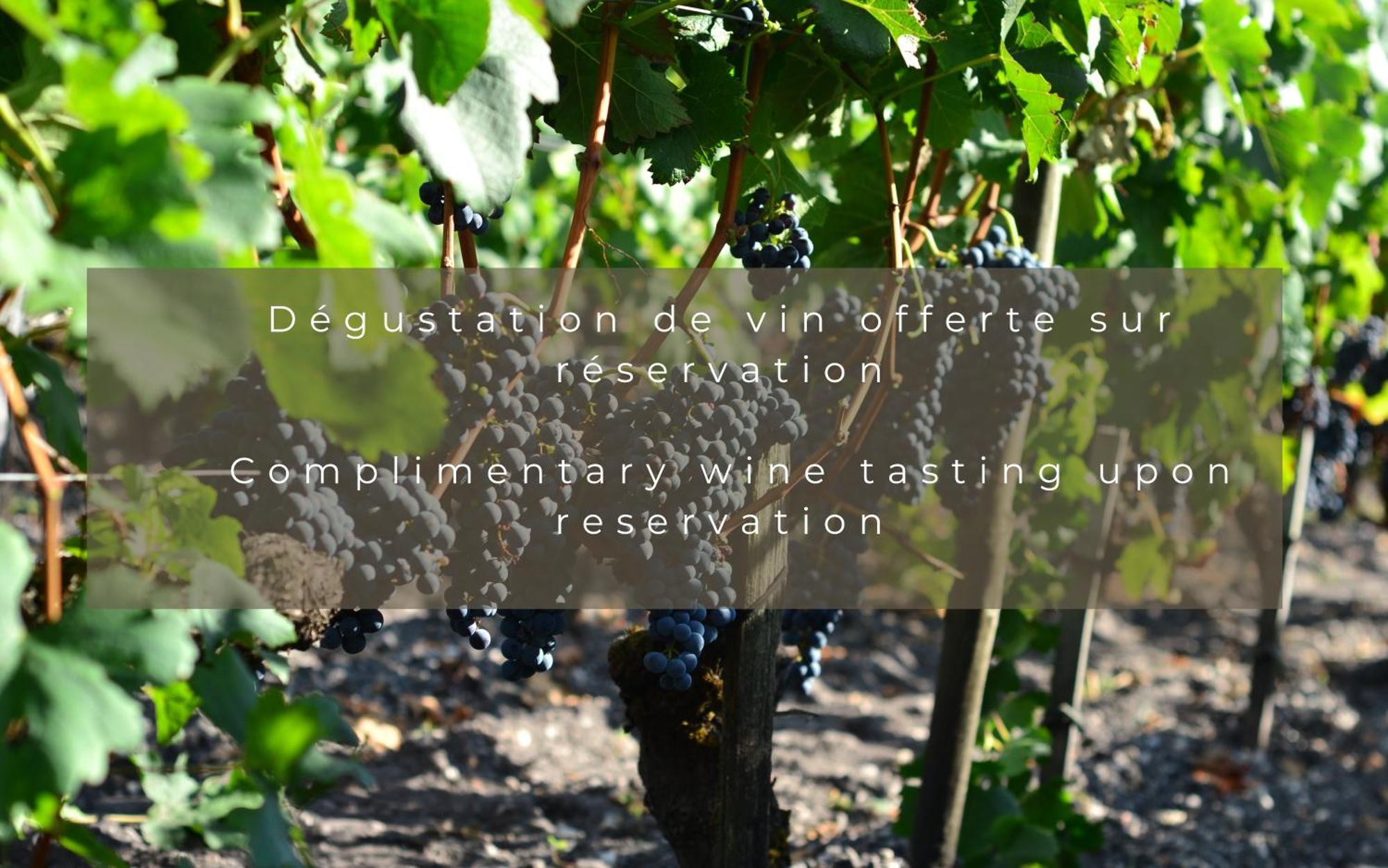 Chateau Leognan, Domaine Viticole - Proche Bordeaux Экстерьер фото